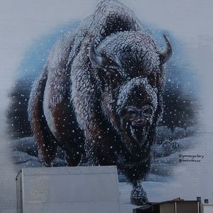 Meet your Posher, Misti